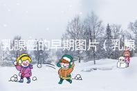 乳腺癌的早期圖片（乳腺癌初期小疙瘩圖片）