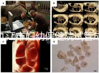 九江市婦幼保健院試管成功率高、費用低？生殖醫(yī)生揭開真相