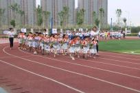 想知道當歸是否能促進卵泡發育，加入棗也能補充內膜