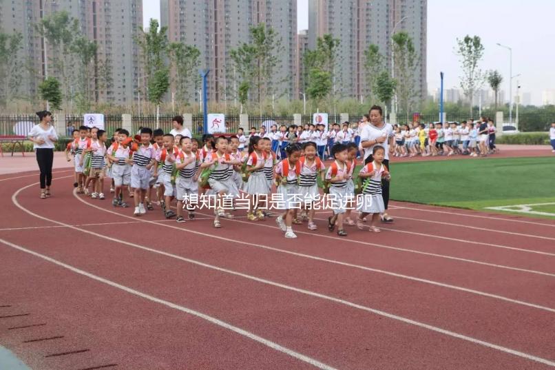 想知道當歸是否能促進卵泡發育，加入棗也能補充內膜