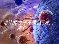 想結婚生子不是自己的，精神損失費和撫養費都涉及到