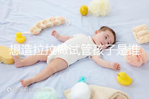 想造拉拉做試管孩子是誰的戳，是否屬于二人看專家怎么說