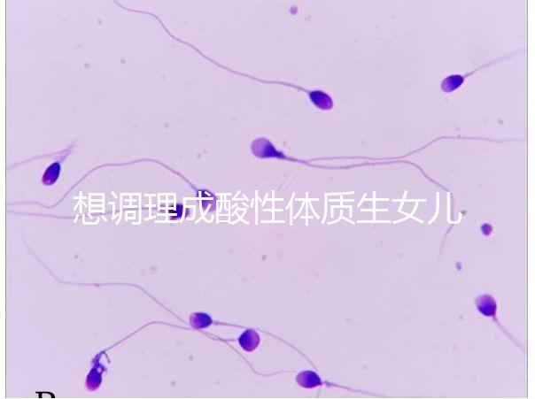 想調(diào)理成酸性體質(zhì)生女兒看過來，這3大食譜科學(xué)又安全