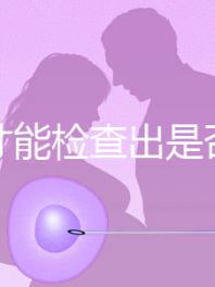 怎樣才能檢查出是否懷孕？