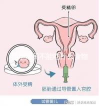 懷孕期間不能吃什么食物？