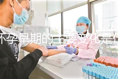 懷孕早期的主要變化是什么？