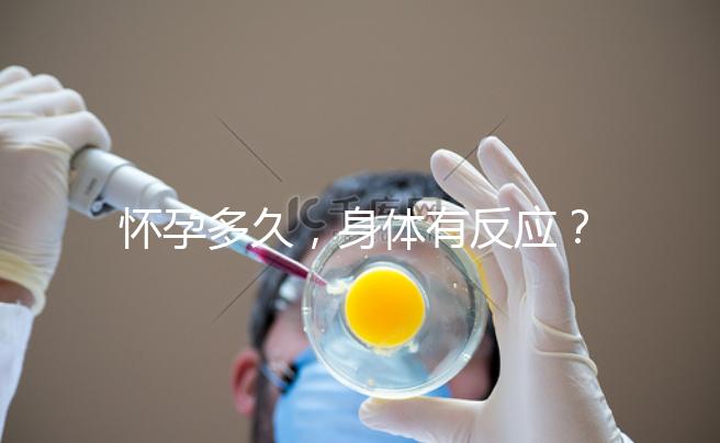 懷孕多久，身體有反應？