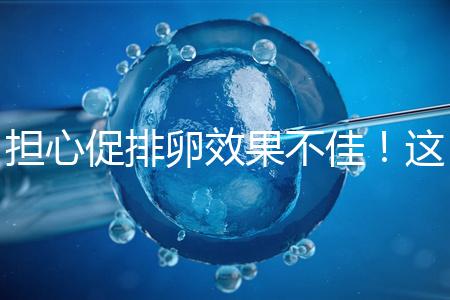 擔(dān)心促排卵效果不佳！這幾個(gè)“養(yǎng)卵”方法請收下