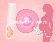 拉拉的婚育計劃：她和她相戀十幾年，終于在塞班結婚了！