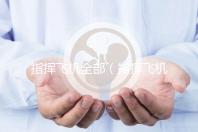 指揮飛機全部（指揮飛機全部過程視頻）