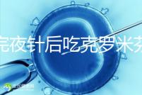 打完夜針后吃克羅米芬不要緊，做好補救工作影響真不大