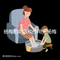 楊梅的功效和作用（楊梅的功效和作用禁忌 營養價值）