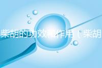 柴胡的功效和作用（柴胡的功效和作用主治及禁忌）