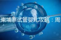 柬埔寨試管嬰兒攻略：周期和時間規(guī)劃全解析！