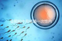 曼熙和十月結(jié)晶一次性內(nèi)衣哪個好看就知道了，女生都來看