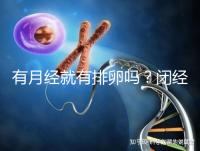 有月經就有排卵嗎？閉經、絕經還能做試管嬰兒嗎？
