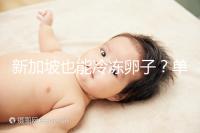 新加坡也能冷凍卵子？單身女性赴海外凍卵別被騙