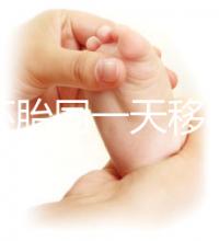 新鮮胚胎同一天移植的植入是否會有早晚，幾天三分鐘就能說清楚