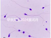 早就知道2024漯河月子中心的價(jià)格表了！媽咪悅只需要這個(gè)數(shù)字