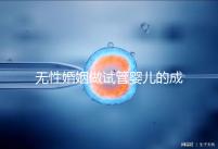 無性婚姻做試管嬰兒的成功率2024，一文說清有沒有用