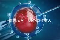春夏秋冬，哪個季節(jié)做人工授精成功率最高？