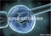 武漢協和醫院無痛分娩多少錢答案在這，住院一天費用不高