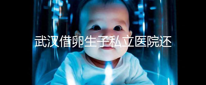 武漢借卵生子私立醫(yī)院還得看這幾家，協(xié)和、同濟(jì)醫(yī)院上榜