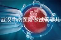 武漢中南醫(yī)院做試管嬰兒需要多少錢：2025年這些試管收費(fèi)有變動(dòng)