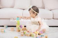 武漢江岸區疫苗本著急補辦快進來，證件齊全到手要不了多久