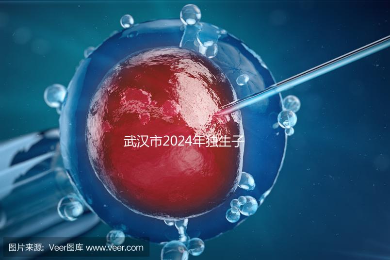 武漢市2024年獨(dú)生子女補(bǔ)貼政策已經(jīng)實施，領(lǐng)取流程更加規(guī)范