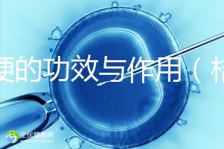 桔梗的功效與作用（桔梗為何盡量少吃）