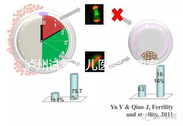 瀘州試管嬰兒醫院成功率排名，西南醫科大學附屬醫院上榜