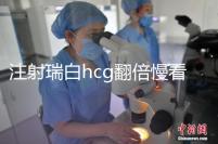 注射瑞白hcg翻倍慢看這，從原因著手告訴你解決辦法