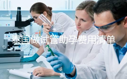 泰國做試管助孕費用清單，涵蓋所有項目分析，幫助你懷孕！