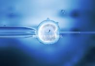 泰國哪家醫(yī)院是試管嬰兒最強大的醫(yī)院？這五家公司最受歡迎