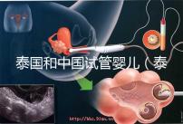 泰國和中國試管嬰兒（泰國和中國試管嬰兒技術差距）