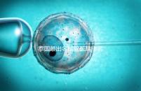 泰國最出名試管醫(yī)院排名前三，來看下面幾家醫(yī)院