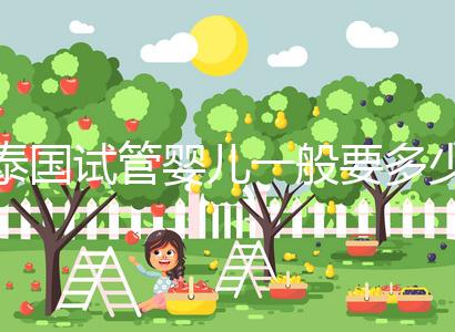 泰國試管嬰兒一般要多少錢（泰國試管嬰兒一般要多少錢費用）