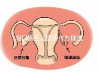海口新生兒醫保卡辦理流程更新，附2024秀英、龍華區手續