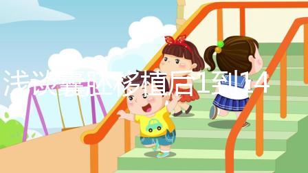 淺談囊胚移植后1到14天癥狀和反應(yīng)，快拿小本本記下來