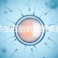 江蘇生四胎新政策獎勵多少錢瞧，2024發放標準了解下