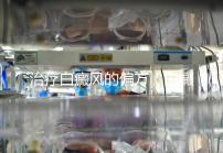 治療白癜風的偏方（白癜風民間土方）