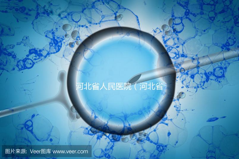 河北省人民醫院（河北省人民醫院官網）