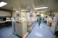 混血兒優(yōu)缺點(diǎn)解析:跟壽命短真的沒關(guān)系