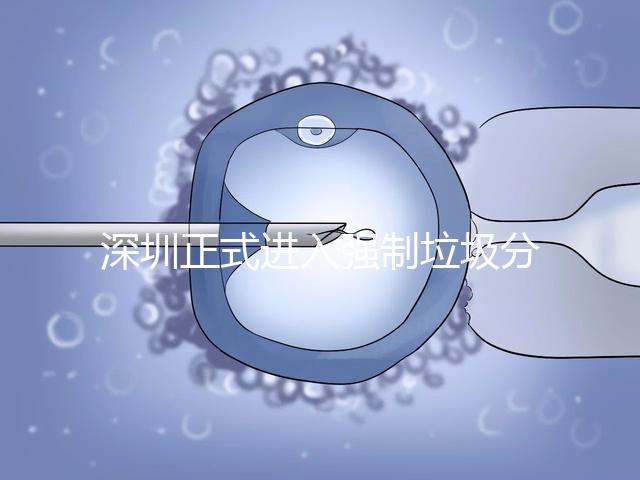 深圳正式進(jìn)入強(qiáng)制垃圾分類時(shí)代，不分類最高被罰50萬!