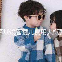 深圳試管嬰兒費用大概要多少錢：2024年費用概覽