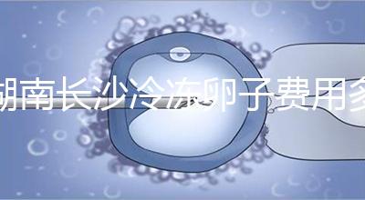 湖南長沙冷凍卵子費用多少？中信湘雅盧光琇教授這樣說...