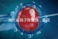 湖北省精子庫整理，醫(yī)院地址、排名、供精費用這都有
