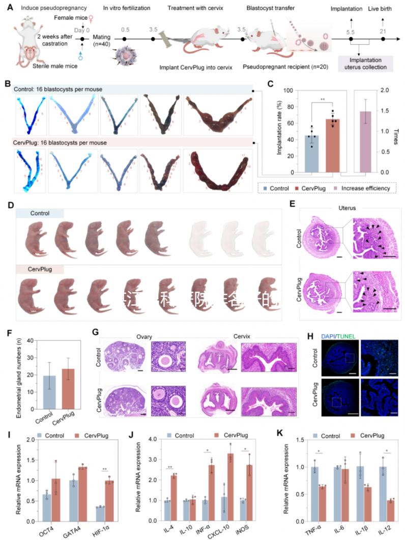 湛江男科醫院排名好的醫院分享，2024廣醫大附院上榜