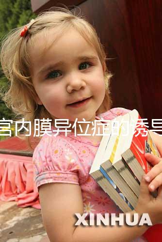 子宮內(nèi)膜異位癥的誘導排卵方案，其實沒有標準答案